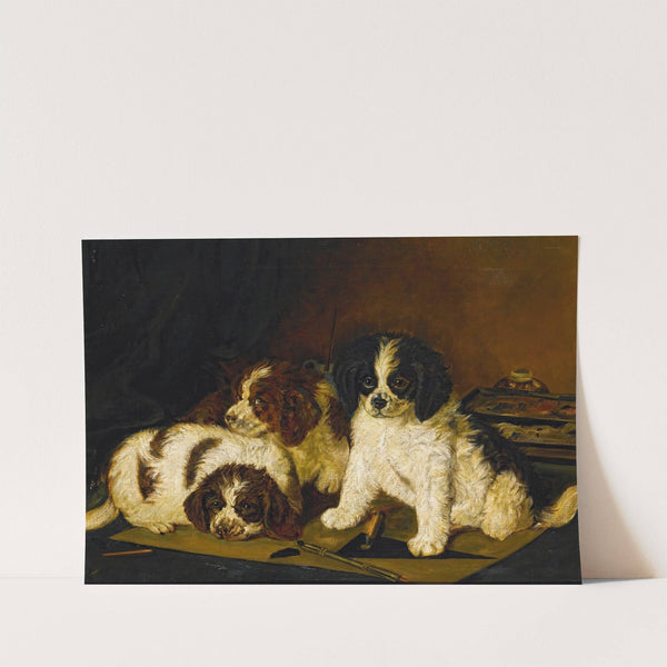 Three Spaniel Puppies (19th Century) by English School