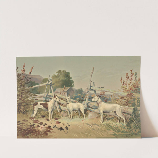 Three standing white dogs with cropped ears, one with liver spots (1880) by Alexander Pope Jr.