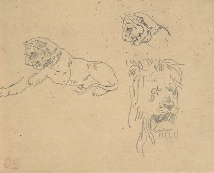 Three Studies of a Lion (1815–63)