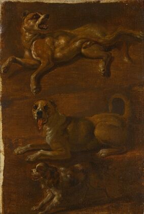 Three studies of dogs