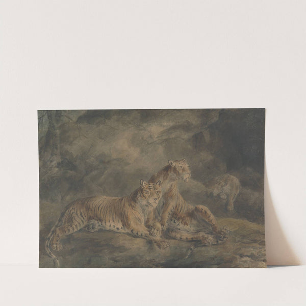 Three Tigers in a Rocky Landscape by Sawrey Gilpin