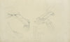 Three views of the musculature of the arm