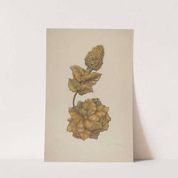 Tie-back (c. 1941) by Harry Jennings