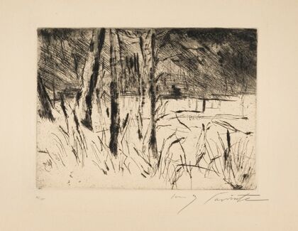 Tiergarten im Januar (1922)