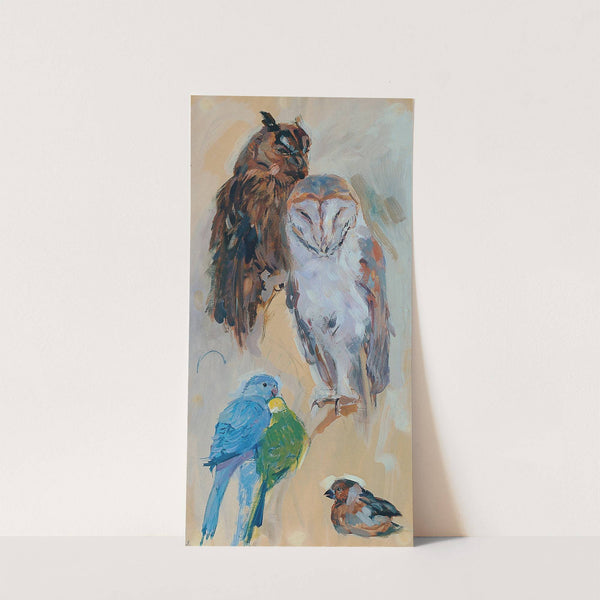 Tierstudie aus Schönbrunn Vögel (1913-1914) by Carl Fahringer