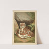 Tiger by Louis Prang
