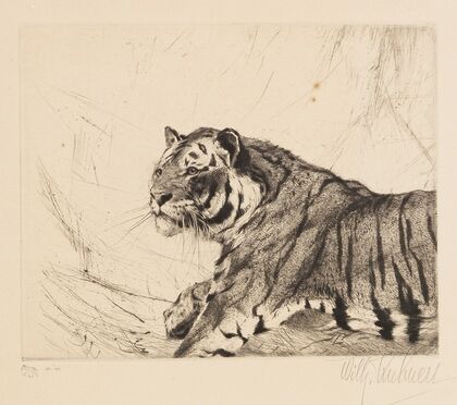 Tiger (1915-1921)