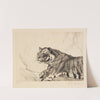 Tiger (1915-1921) by Wilhelm Kuhnert