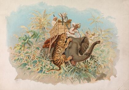 Tiger Hunting