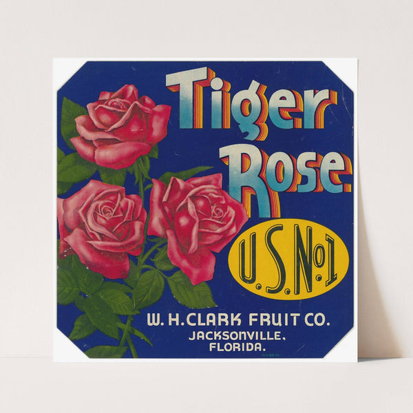 Tiger Rose Fruit Label (1930s)