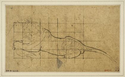 Tigre couché à gauche (19th century)