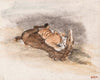 Tigre dévorant un cheval (19th century)