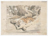 Tigre dévorant un homme (19th century)