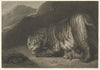 Tigress (1799)