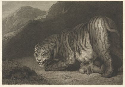 Tigress (1799)