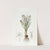 Tiny Crocus (1815-1819) by Sydenham Edwards