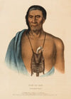 Tish-Co-Han. A Delaware Chief