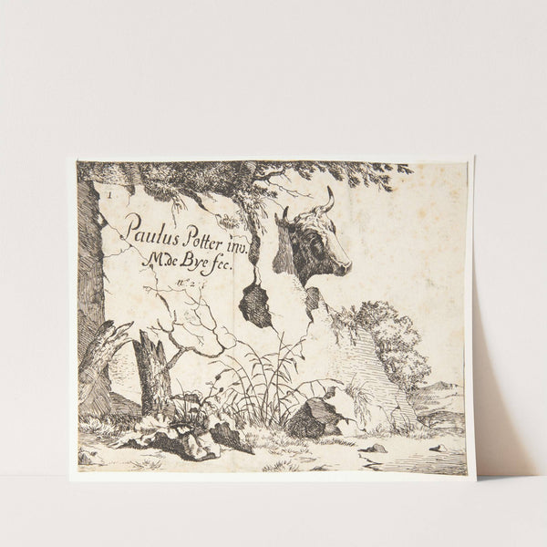 Titelblad til Køer by Marcus de Bye