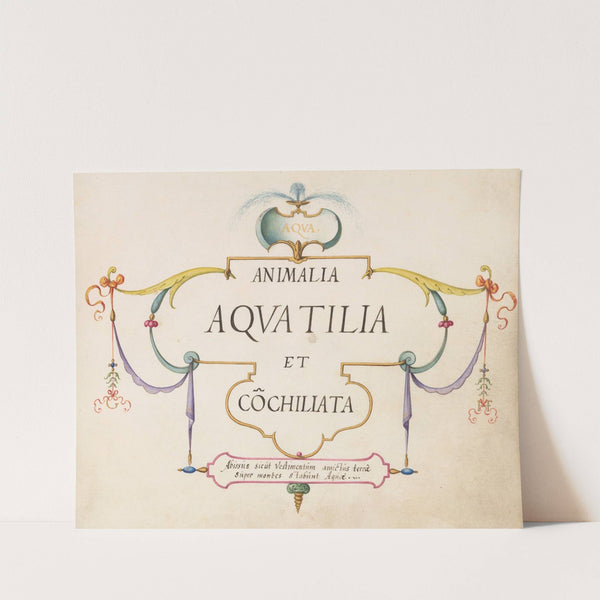 Title Page – Animalia Aqvatilia et Cochiliata (Aqva) (1575-1590) by Joris Hoefnagel