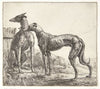 To mynder og en sovende hund