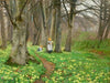 To piger plukker blomster i forårsskov