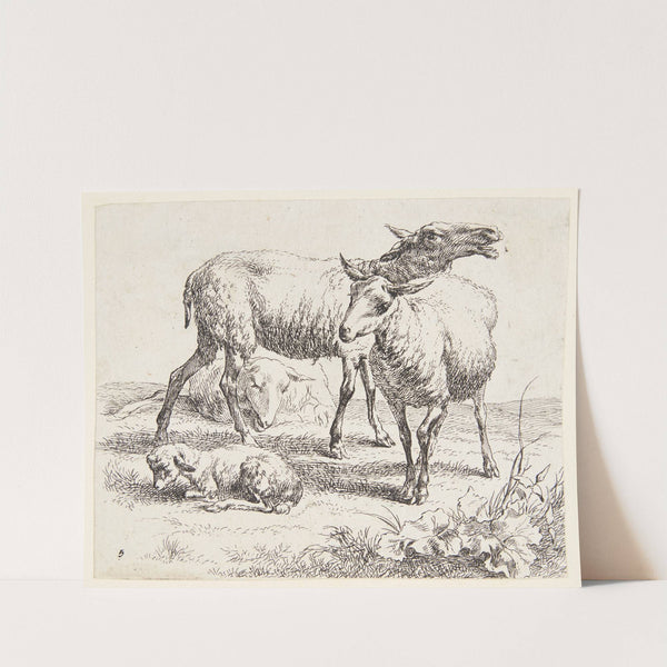 To stående får og et lam by Nicolaes Pietersz. Berchem