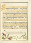 Toadflax (1561–1596)