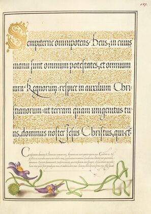 Toadflax (1561–1596)