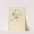 Tolstoy by Alphonse Legros