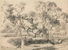 Toollern Creek, Melton