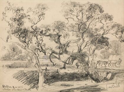 Toollern Creek, Melton