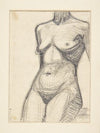 Torso af kvindelige model