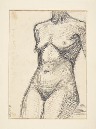 Torso af kvindelige model