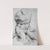 Torso. Belvedere. Front view of the antique sculpture. by Willem Panneels