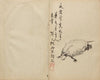 Tortoise (1800s)