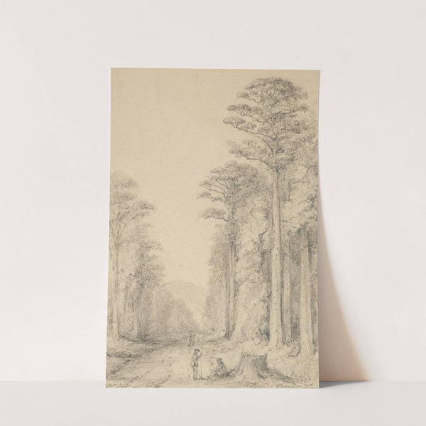 Totara Grove, Upper Hutt by William Swainson