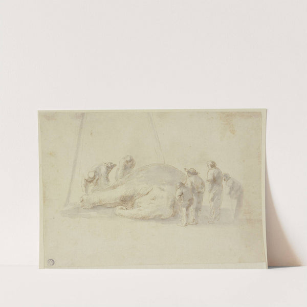 Toter Elefant und sieben Betrachter by Stefano Della Bella