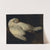 Totes Schneehuhn by Johann Matthias Ranftl