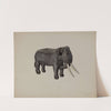 Toy Elephant by Orison Daeda