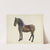 Toy Horse by Mina Lowry