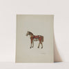 Toy Shetland Pony by Nicholas Acampora