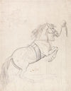 Training at the Pillar, Horse Wearing Bridle and Surcingle