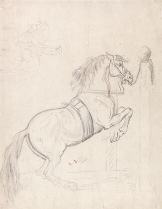 Training at the Pillar, Horse Wearing Bridle and Surcingle