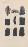 Traité de botanique générale Pl.002