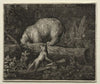 Trapping the Bear (1650–1675)