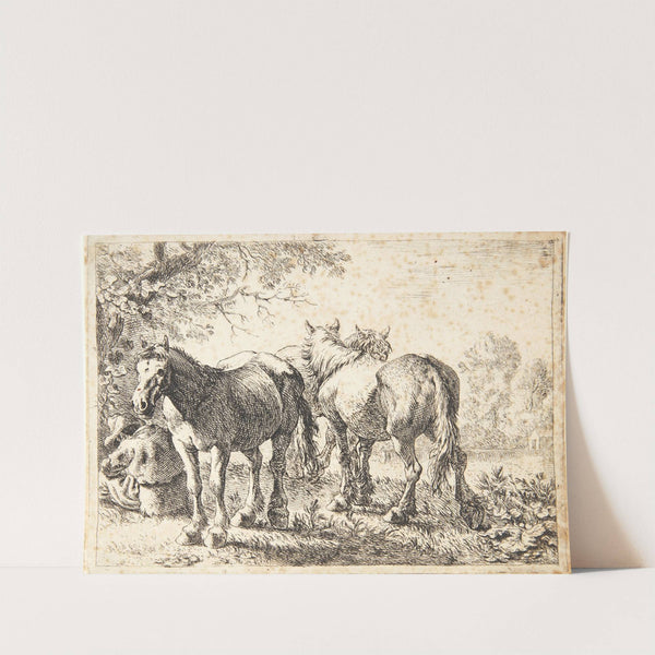 Tre heste, tv en siddende bonde by Pieter van Laer