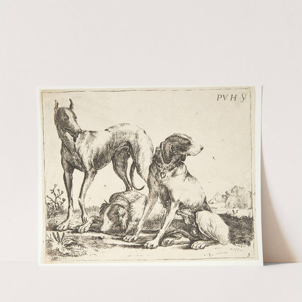 Tre hunde by Paulus van Hillegaert II