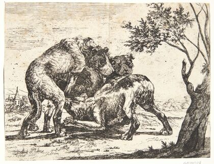 Tre hunde