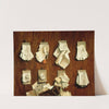 Treasurers’ papers and documents (1656) by Cornelis Brisé