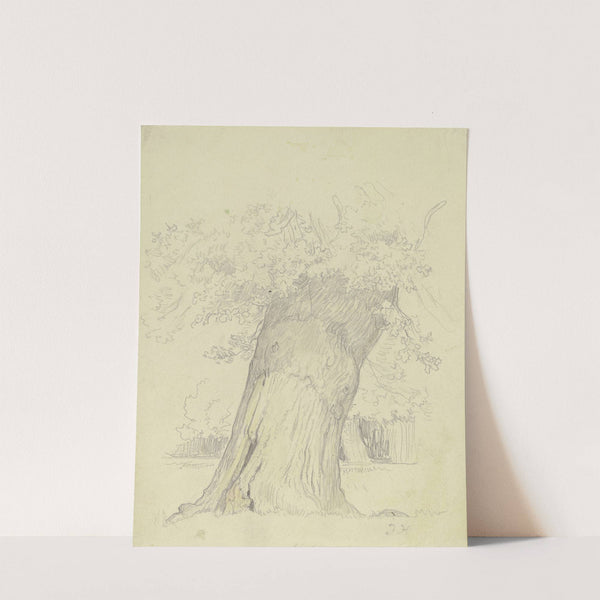 Tree by Julius Hamel